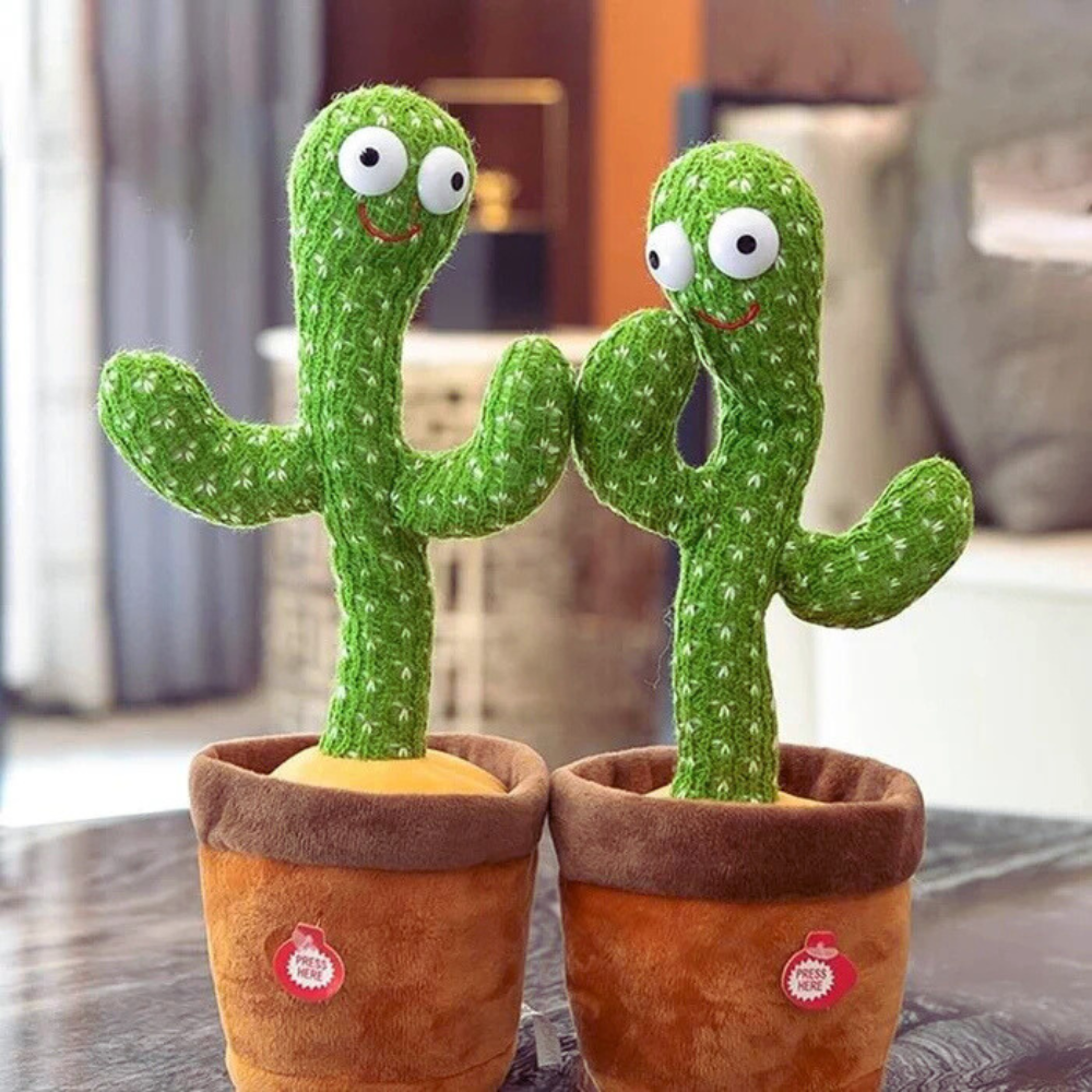 GroovyCactus Pal