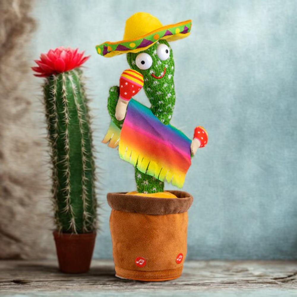 GroovyCactus Pal
