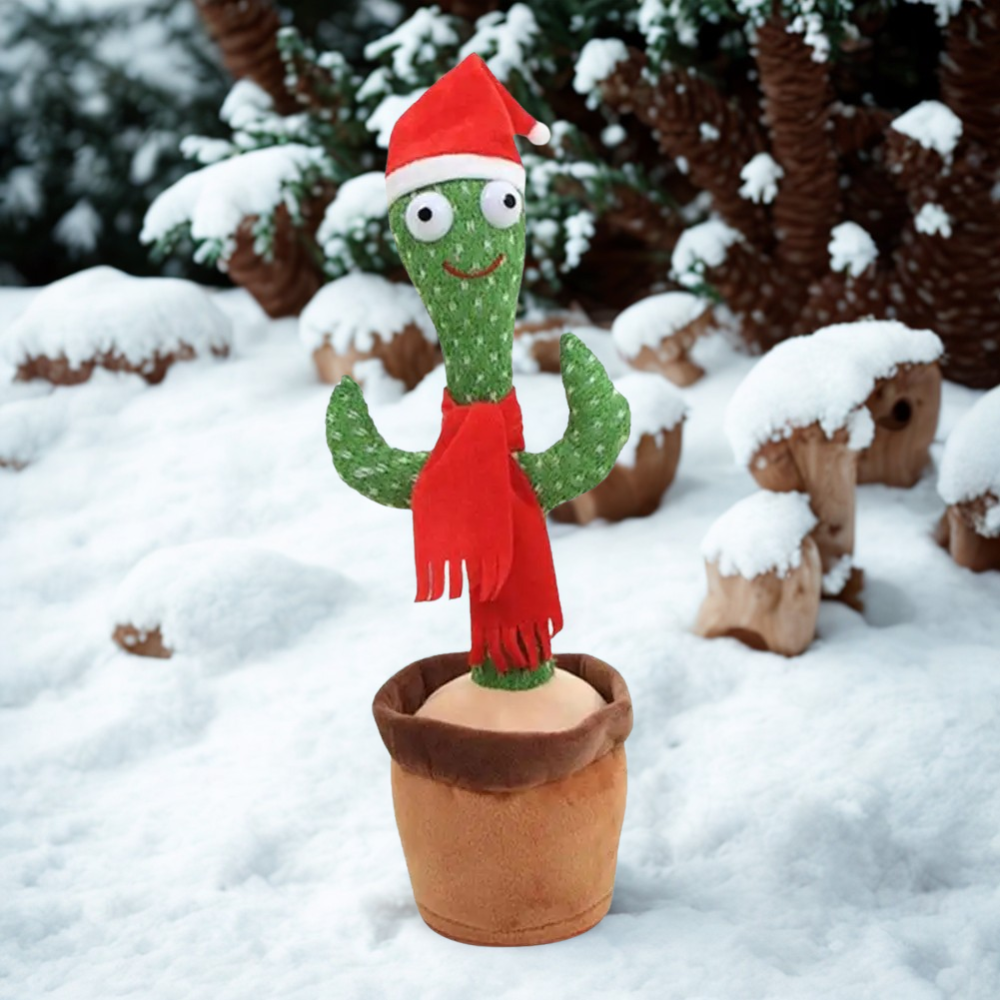 GroovyCactus Pal